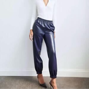 🆕 NWOT Babaton Aritzia Zedel Faux Leather Jogger Pants Vegan Purple Size Medium